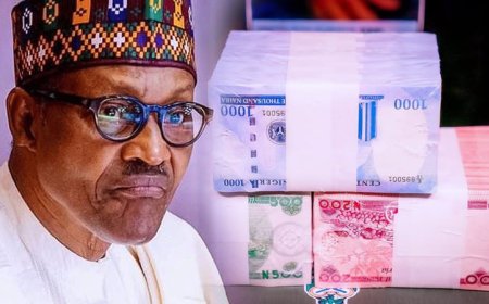 Supreme Court orders old N200, N500, N1,000 notes to remain legal tender till Dec 31