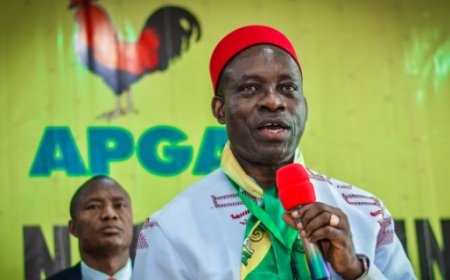 Soludo begs residents to vote APGA in state assembly poll