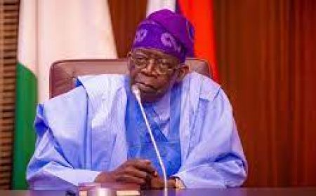 Tinubu sets up committee on tax reforms